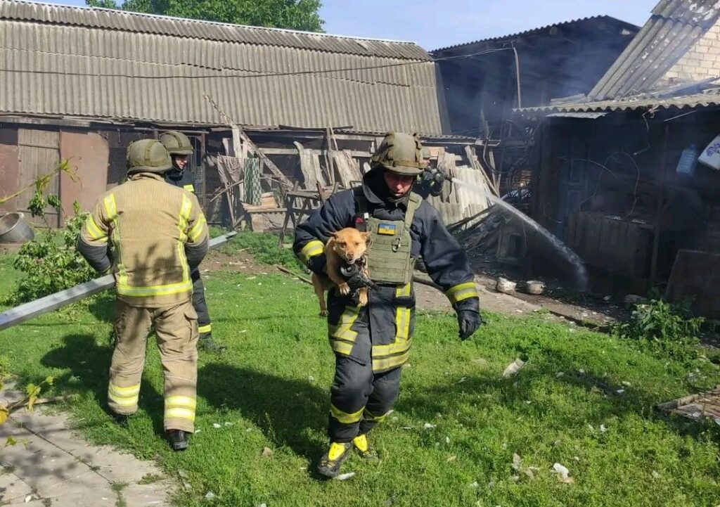 Обстріл села на Харківщині: бійці ДСНС врятували песика під час гасіння пожежі