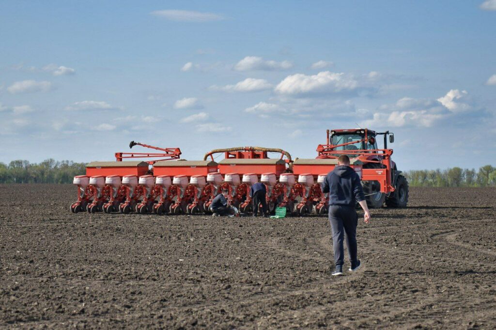 На Харківщині засіяли майже 680 га полів: дані ХОВА