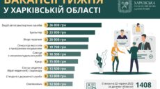 Робота в Харкові: оприлюднені вакансії регіону із зарплатою до 26 тис. грн