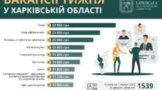 Робота в Харкові та області: вакансії тижня із зарплатою до 30 тисяч гривень