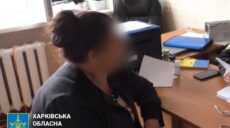 Турботлива мати з Балаклії хотіла “відкупити” сина і сама отримала підозру