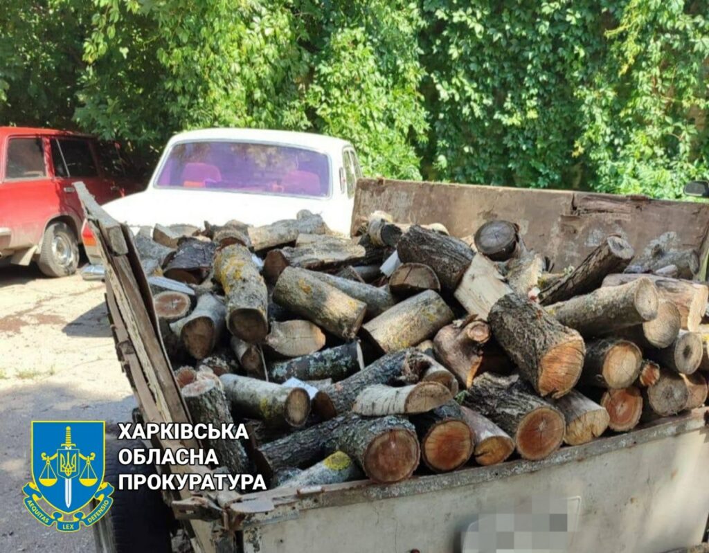 Нарубав дерев на 120 тис грн: на Харківщині піймали чергового чорного лісоруба