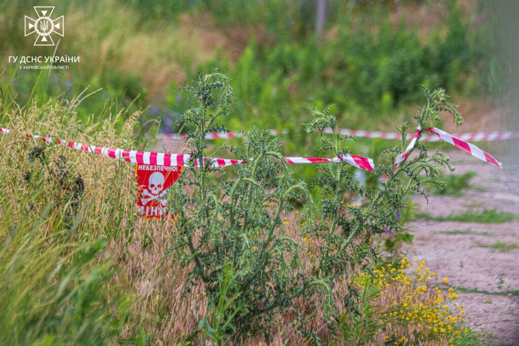 Житель Харківщини підірвався на невідомому предметі у високій траві біля дому