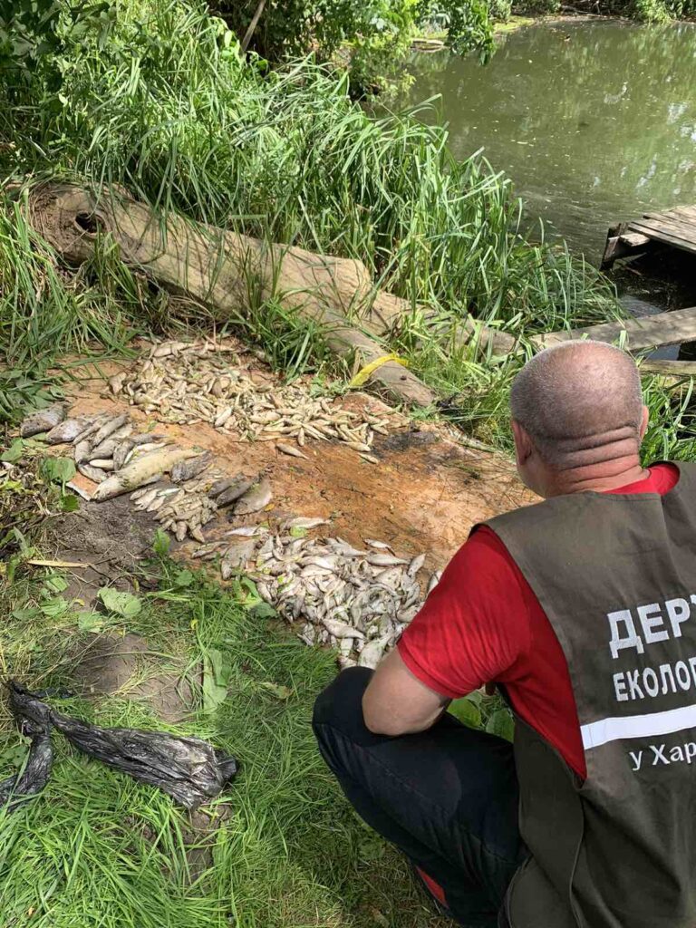Мор рыбы в реке Уды под Харьковом: погибли более 2 тыс рыб – госэкоинспекция