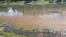 Рожеві плями у відновленому озері в Харкові: екоінспекція перевіряє воду
