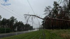Ураган обесточил 15 населенных пунктов Харьковщины и частично Харьков