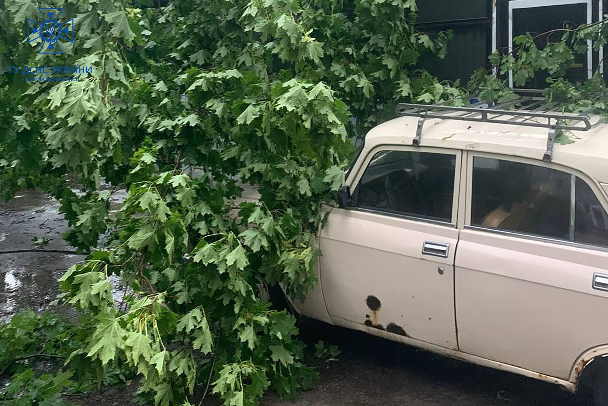 Последствия урагана в Харькове 8 июля 2023 6