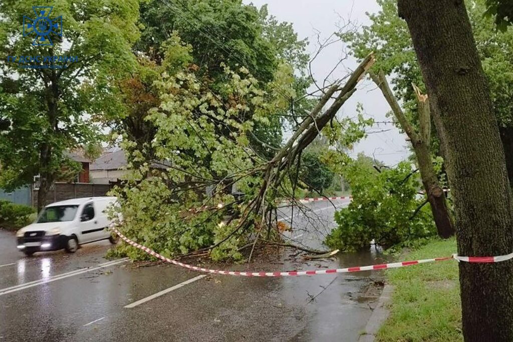 Ураган у Харкові: ДСНС 35 разів виїжджала прибирати дерева, що впали (фото)