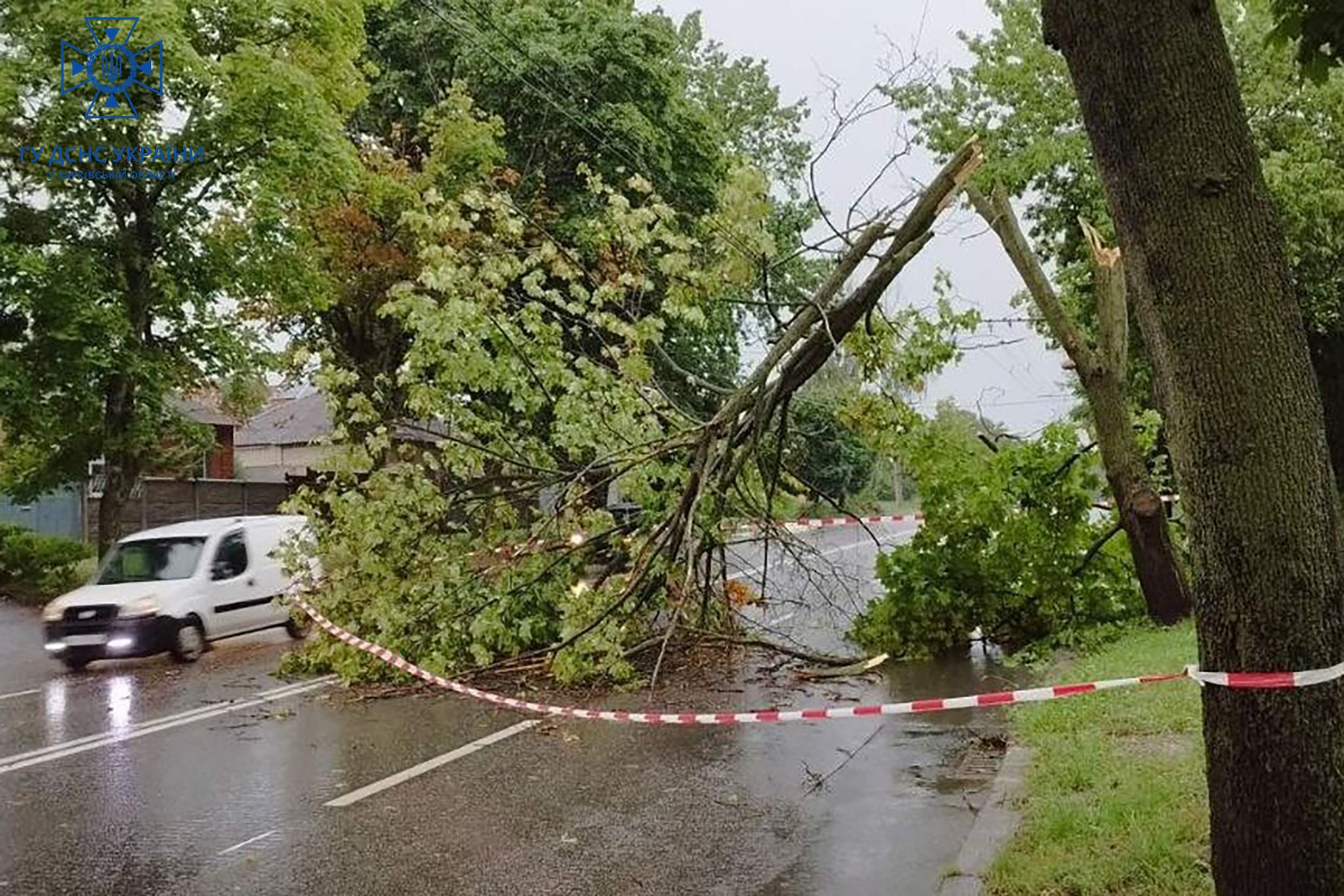 Ураган в Харькове: бойцы ГСЧС 35 раз выезжали убирать упавшие деревья (фото)