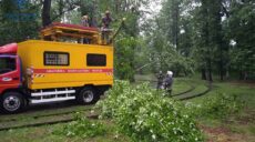 На Харківщині через стихію місцями зникла електрика (оновлено)