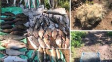 Наловили 62 кг риби на 163 тис грн: на Харківщині піймали браконьєрів