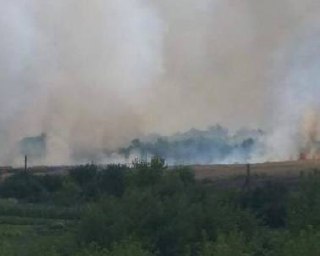 Окупанти обстріляли Золочівщину: ворог знищив поле пшенищі