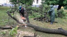 В Харькове ликвидируют последствия непогоды: информация мэрии