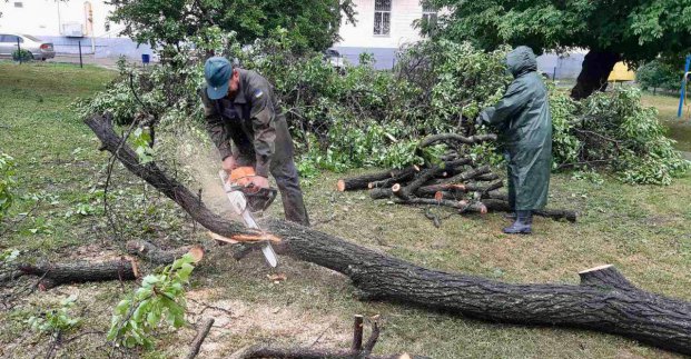 У Харкові усувають наслідки негоди: дані мерії