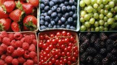Сколько стоят ягоды и почему на них такие высокие цены в Харькове – мэрия