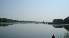 В реке в поселке Зачепиловка не рекомендуют купаться из-за кишечной палочки