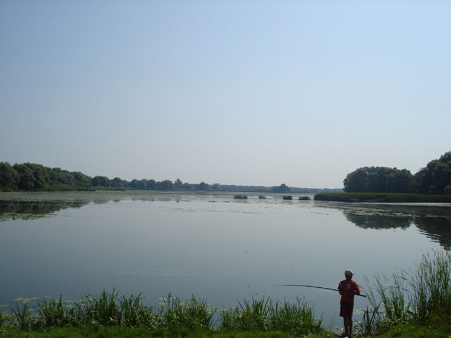В реке в поселке Зачепиловка не рекомендуют купаться из-за кишечной палочки