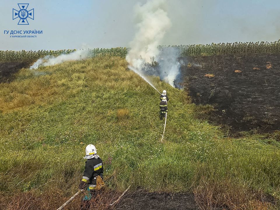 В Харьковской области горели 20 га поля с пшеницей (фото)
