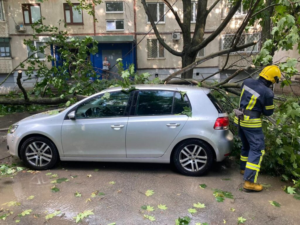 На три автомобілі й трамвайні колії дерева впали через негоду у Харкові (фото)