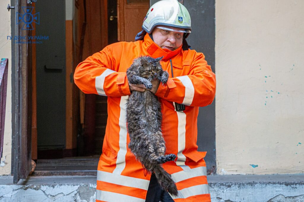 Трьох людей і кота врятували від пожежі працівники ДСНС у Харкові