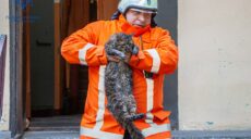 Трьох людей і кота врятували від пожежі працівники ДСНС у Харкові