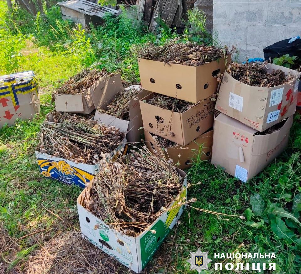 Плантацию опиумного мака вырастила женщина на своем огороде на Харьковщине