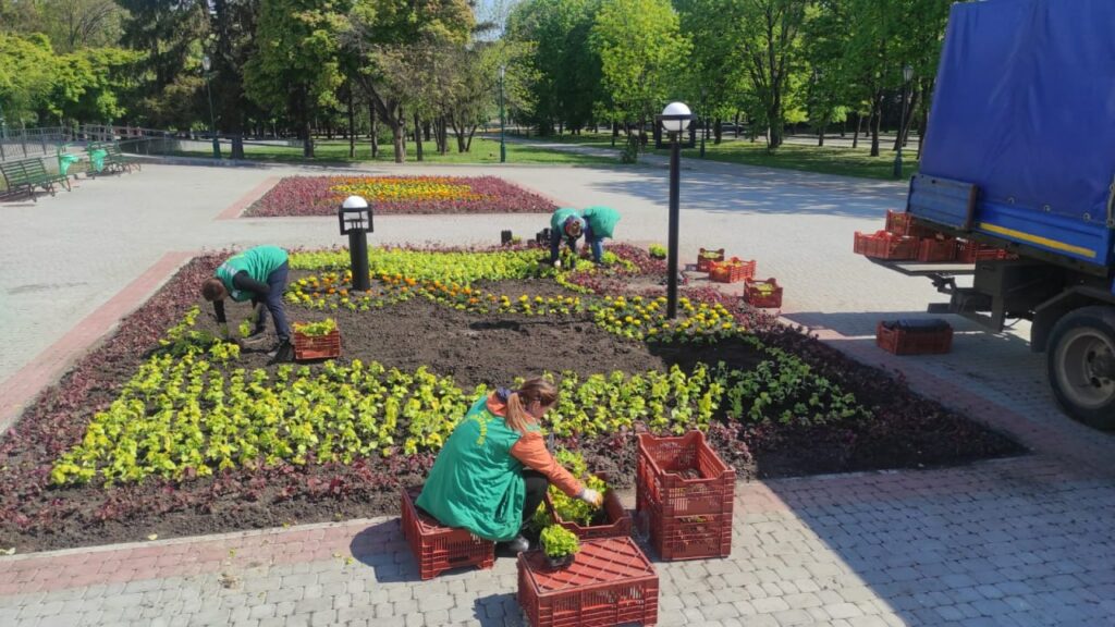 Цветов не будет: горсовет Харькова в один день объявил и отменил тендер — ХАЦ