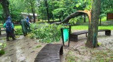 В Харькове второй день подряд ликвидируют последствия урагана (фото)
