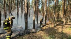 Ліс і трава горіли на Куп’янщині та Чугуївщині через обстріли (фото)