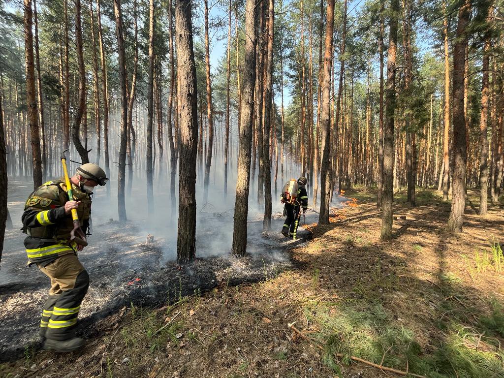 Ліс і трава горіли на Куп’янщині та Чугуївщині через обстріли (фото)