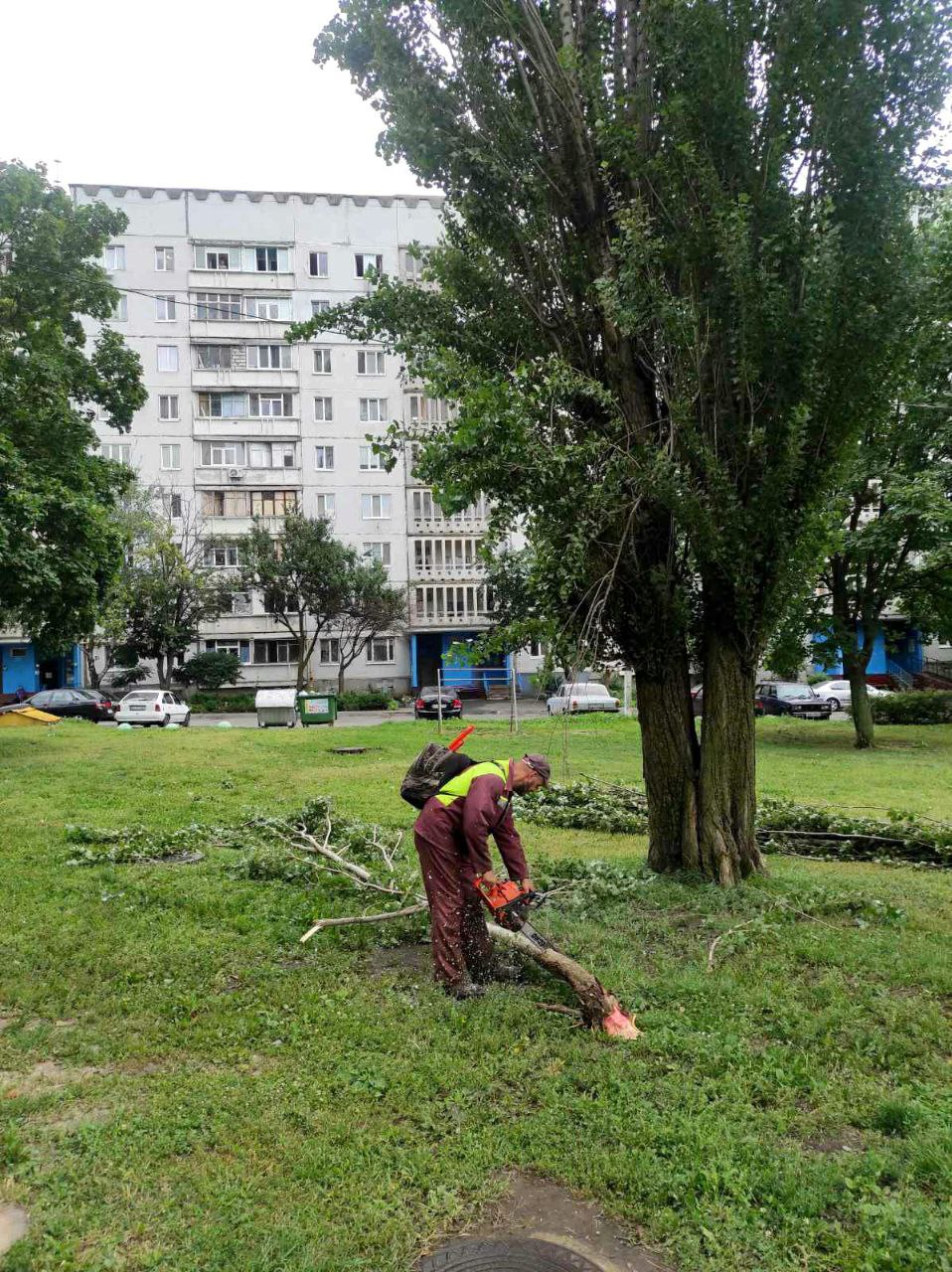 Поваленные деревья в Харькове 28 июля 2023