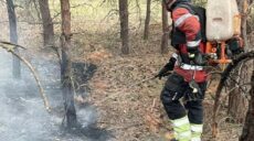 Пожар в результате обстрела вспыхнул в хвойном лесу на Харьковщине
