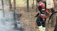 Пожежа внаслідок обстрілу спалахнула у хвойному лісі на Харківщині