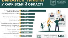 Робота у Харкові й області: потрібні слюсарі, водії та ветеринари