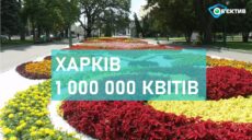 У Харкові висадили понад мільйон квітів