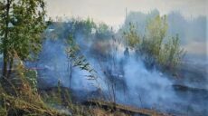 Враг обстрелял частный сектор в Волчанске: горела сухая трава (фото)