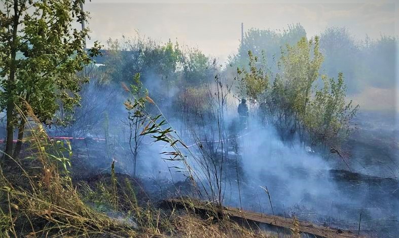 Ворог обстріляв приватний сектор у Вовчанську: горіла суха трава (фото)