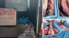 На Харьковщине женщина везла более 180 кг свежей рыбы без документов