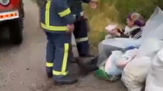 На Ізюмщині врятували бабусю, яка два дні просиділа на узбіччі дороги (відео)