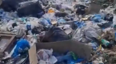 Крупи і борошно: під Харковом знайшли сміттєзвалище з гумдопомогою (відео)