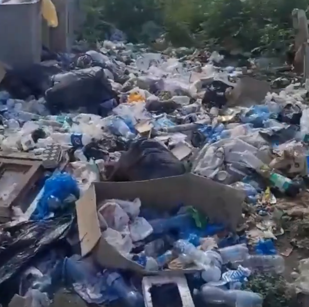 Крупы, хлеб и мука: под Харьковом нашли мусорную свалку с гумпомощью (видео)
