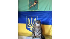 Кот Степан поздравил харьковчан