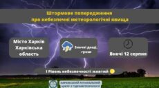 Дощі та грози: на Харківщині й вночі вируватиме негода – синоптики
