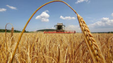 Сбор урожая: в ХОВА спрогнозировали, хватит ли зерна Харьковщине и не только