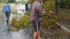 На півдні Харківщини стихія сьогодні зривала дахи та валила дерева (фото)