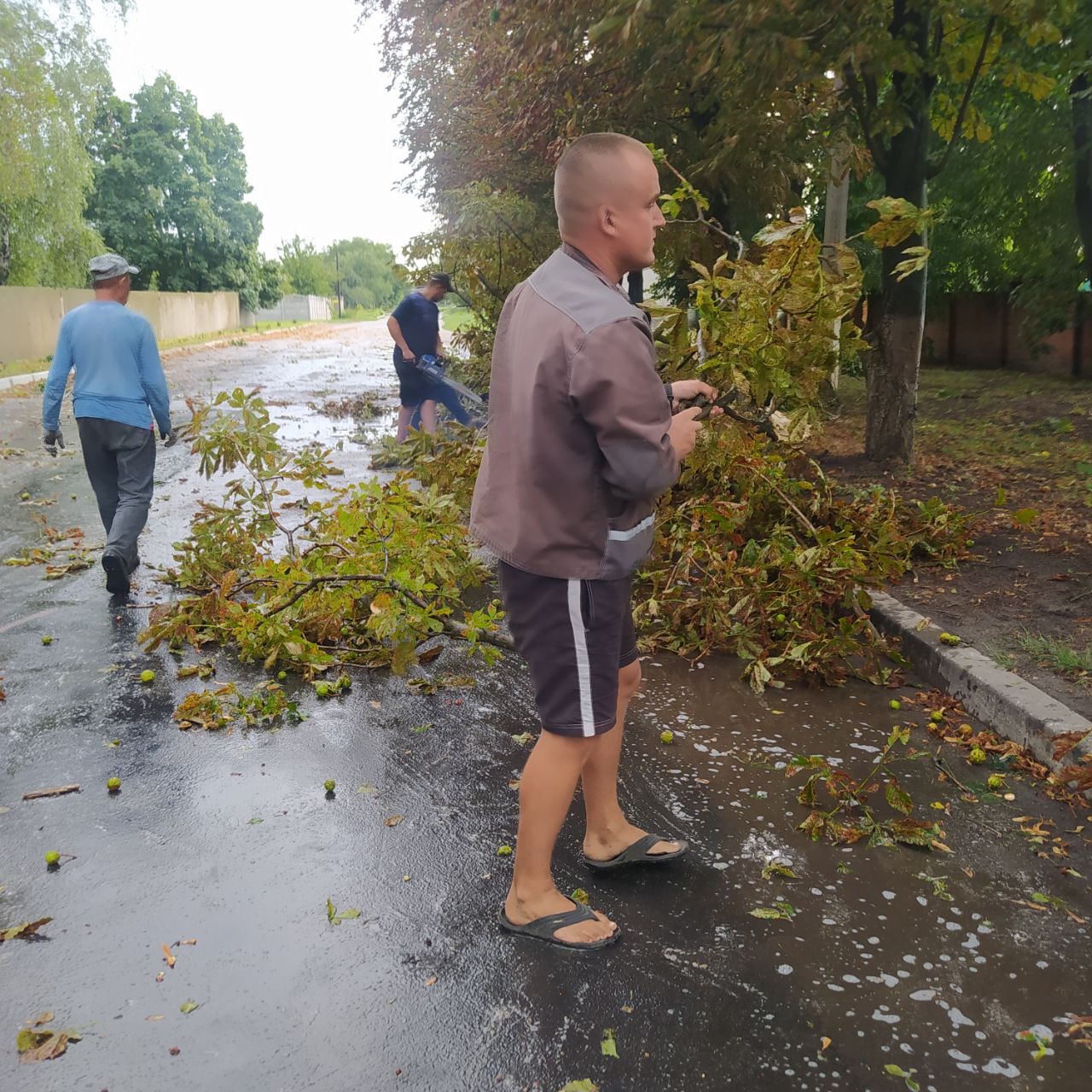 На півдні Харківщини стихія сьогодні зривала дахи та валила дерева (фото)
