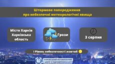 Грозы в ближайшее время — и до конца суток в Харьковской области