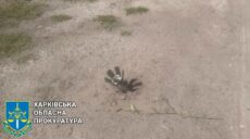 14-летнего подростка и пожилую женщину ранили россияне на Харьковщине