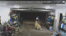 Худший сторож в мире. В США пес подружился с вором, укравшим велосипед (видео)
