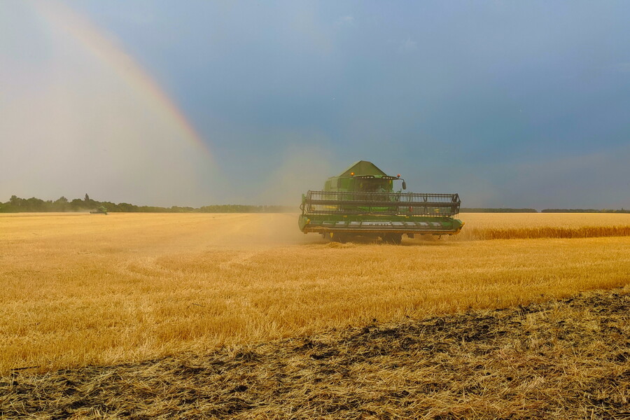 Более 643 тысяч тонн зерна нового урожая собрали аграрии Харьковщины